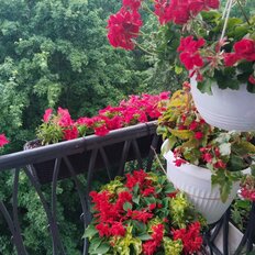 Квартира 102,9 м², 4-комнатная - изображение 4