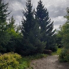 Квартира 58,2 м², 2-комнатная - изображение 3