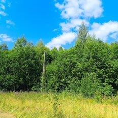 20 соток, участок - изображение 3