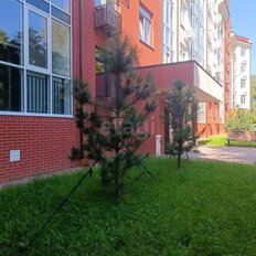 Квартира 40,5 м², 1-комнатные - изображение 5