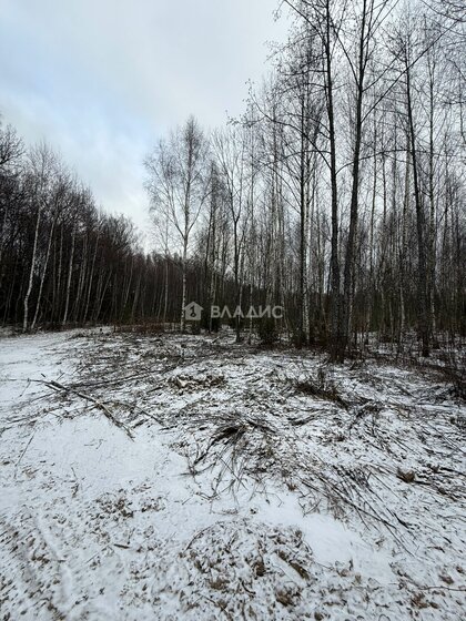 20 соток, участок 320 000 ₽ - изображение 30