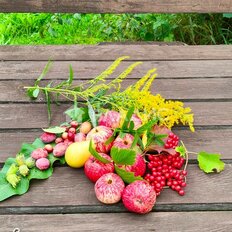 дом + 5,5 сотки, участок - изображение 5