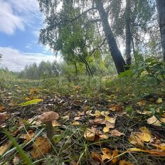 10 соток, участок - изображение 5