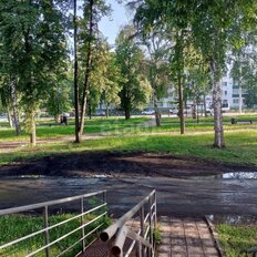 32,6 м², торговое помещение - изображение 3