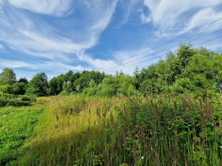 50 м² дом, 8 соток участок 1 299 000 ₽ - изображение 45