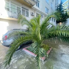 Квартира 195 м², 4-комнатная - изображение 1