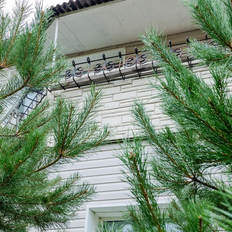 дом + 1,7 га, участок - изображение 4