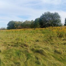 39,9 сотки, участок - изображение 1