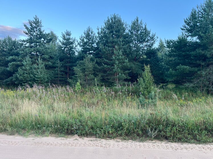 390 соток, участок 1 500 000 ₽ - изображение 22