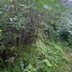 4,5 сотки, участок - изображение 1