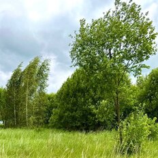 10 соток, участок - изображение 3