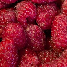 5 соток, участок - изображение 2