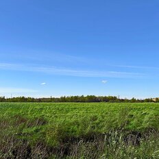 10,3 сотки, участок - изображение 2