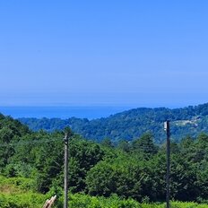 3 сотки, участок - изображение 4