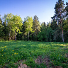 12,3 сотки, участок - изображение 5