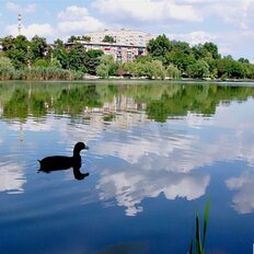 Квартира 26 м², 1-комнатная - изображение 1