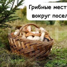 10 соток, участок - изображение 4