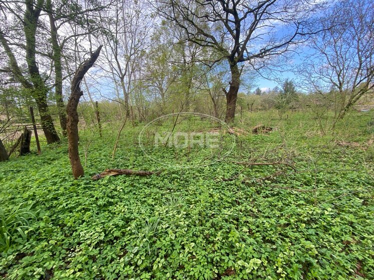 12 соток, участок 4 800 000 ₽ - изображение 32