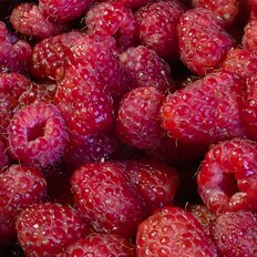 5 соток, участок - изображение 3