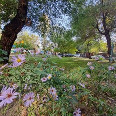 Квартира 43 м², 2-комнатная - изображение 4