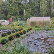 5,9 сотки, участок - изображение 3