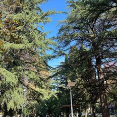 Квартира 60 м², 2-комнатная - изображение 3