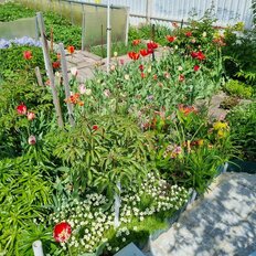 дом + 5,3 сотки, участок - изображение 5