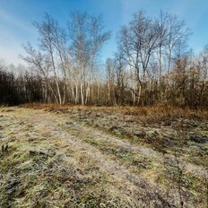 45 соток, участок - изображение 5