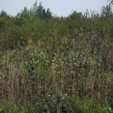 15 соток, участок - изображение 5