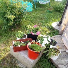 дом + 5 соток, участок - изображение 2