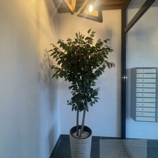 Квартира 35 м², 1-комнатная - изображение 5