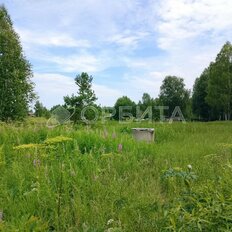 5,6 сотки, участок - изображение 2