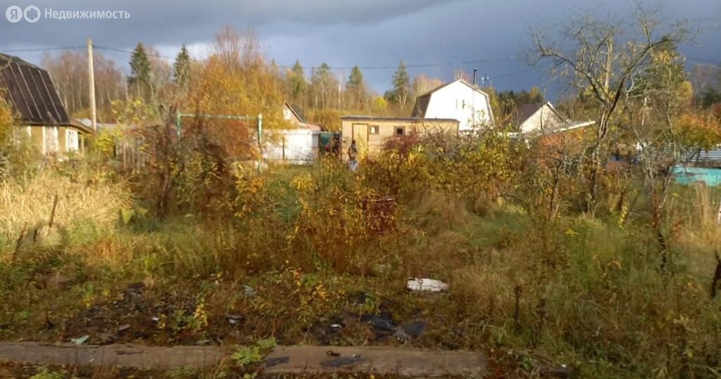 Участок в Кингисепп, садоводческий массив Юннатская, садоводческое некоммерческое товарищество Берёзка, Земляничная улица, 9 (3 м²)