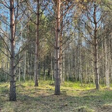 8 соток, участок - изображение 1