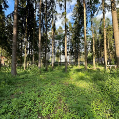 5,3 сотки, участок - изображение 3