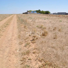 8 соток, участок - изображение 1