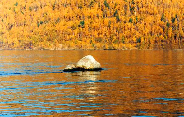 14,3 сотки, участок 9 000 000 ₽ - изображение 46