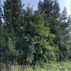 дом + 20 соток, участок - изображение 4