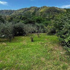 8 соток, участок - изображение 2