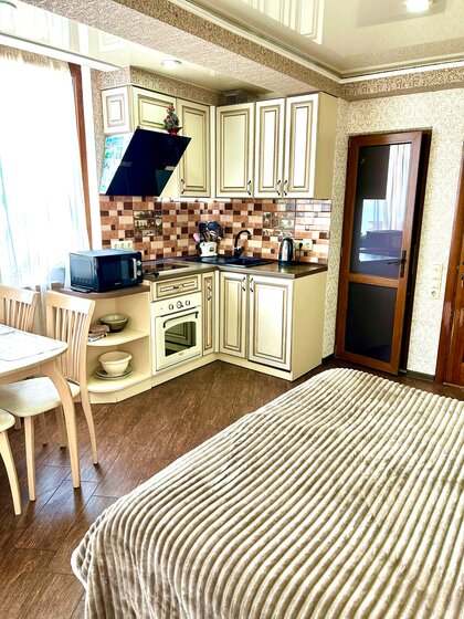 28 м², 1-комнатная квартира 2 490 ₽ в сутки - изображение 67