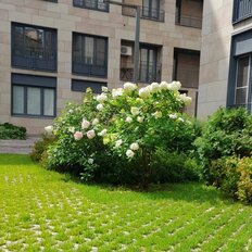 Квартира 49 м², 2-комнатная - изображение 3