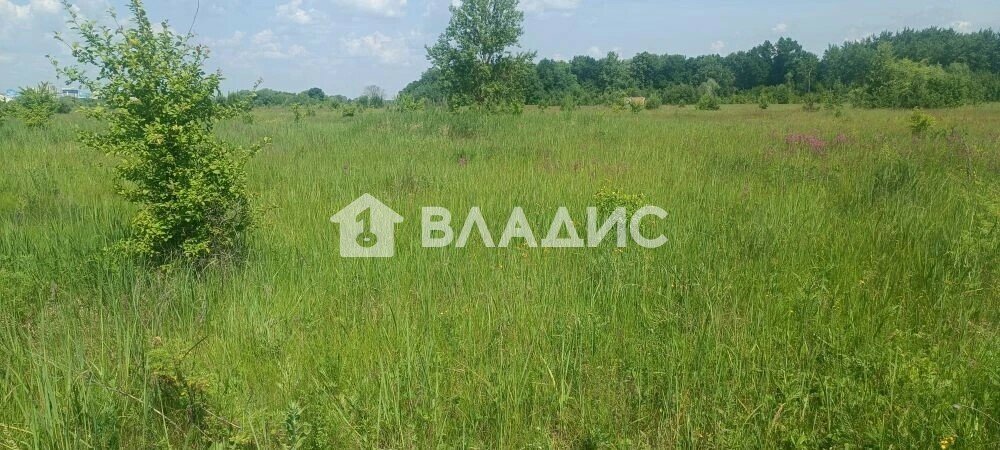 13,5 сотки, участок 1 200 000 ₽ - изображение 37