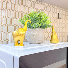 Квартира 24 м², студия - изображение 5