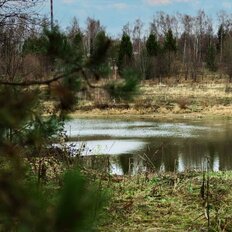 6 соток, участок - изображение 3