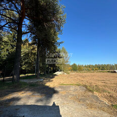 8 соток, участок - изображение 4