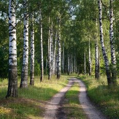 30,4 сотки, участок - изображение 3