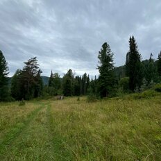 2,5 га, участок - изображение 2