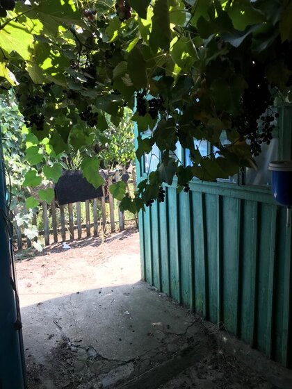 34,1 м², 1-комнатная квартира 3 239 500 ₽ - изображение 18