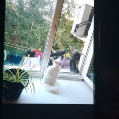 18 м², комната - изображение 2