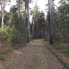 8 га, участок - изображение 4